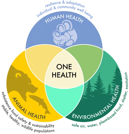 Figure 4: Illustration of the 'One Health Approach', tying in environmental, animal, and human health. From the Center for One Health Research, University of Alaska Fairbanks