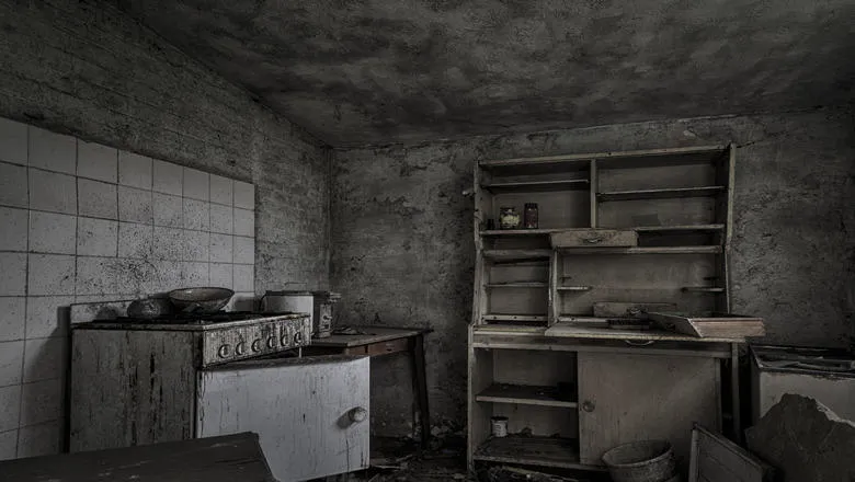 social science phd uk The Weaponisation of Food in Ukraine image