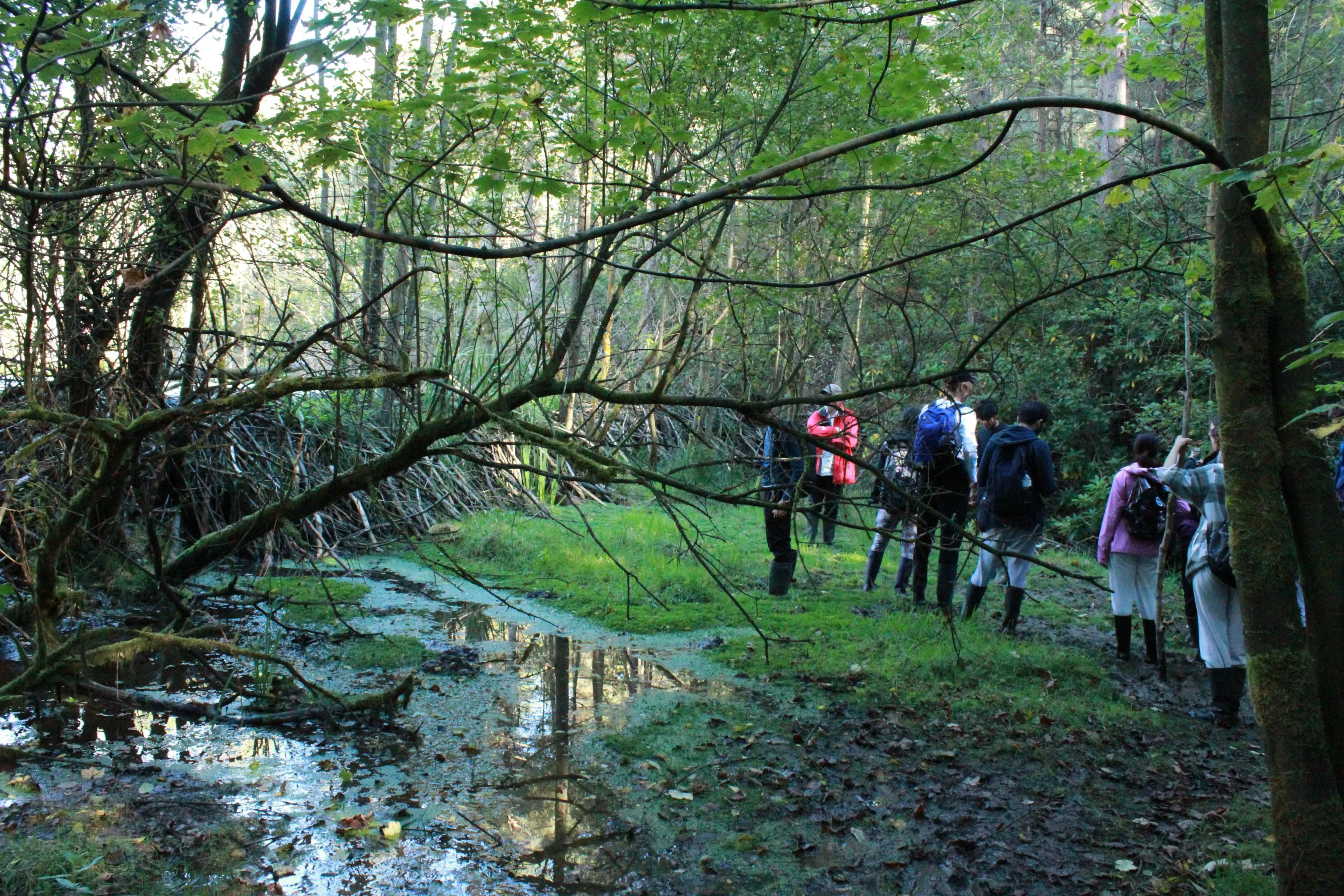 Geography fieldtrip 2021 Beaver Reintroduction