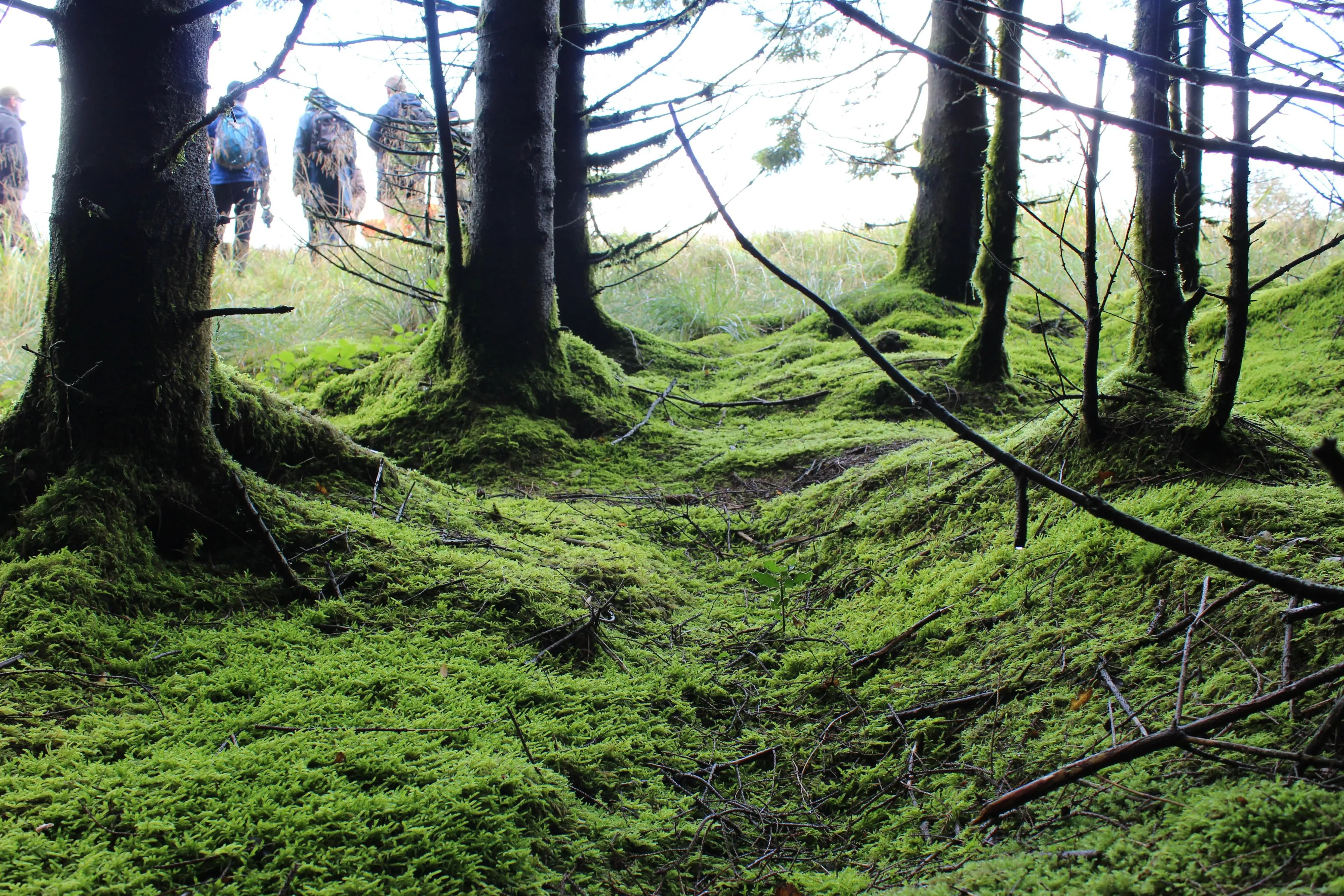 Geography fieldtrip 2021 Forest Peat