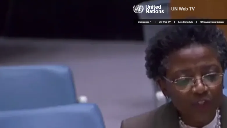 Professor 'Funmi Olonisakin speaking at the UN Security Council in New York in May