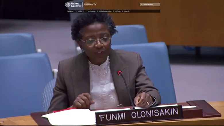 Professor 'Funmi Olonisakin speaking at the UN Security Council in New York in May