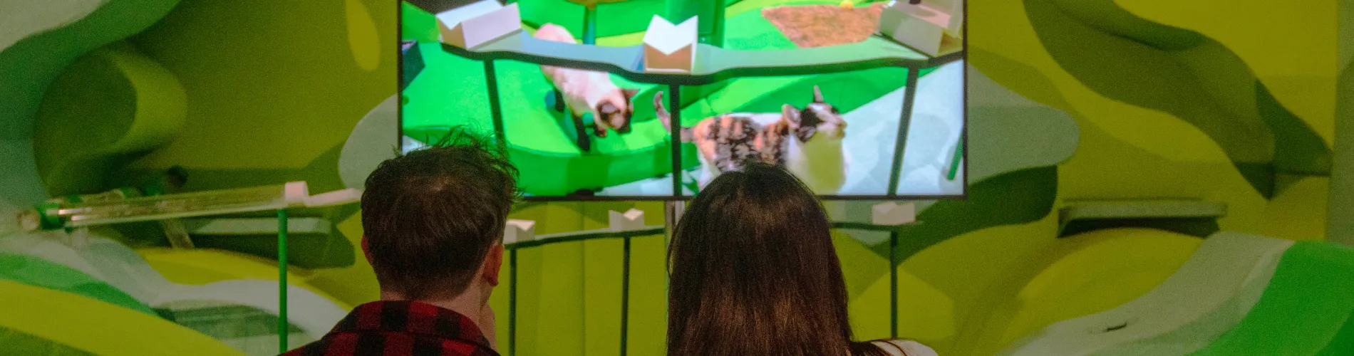 Two young people watching a video with vivid colours as part of the 'AI: Who's Looking After Me?' exhibition.