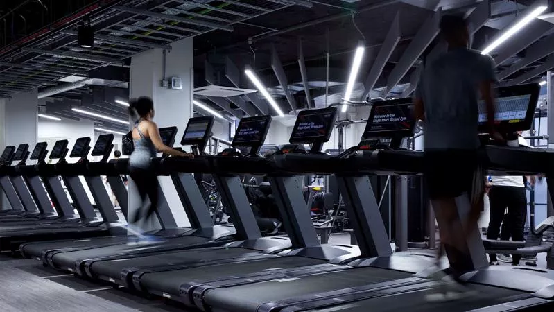A row of gym treadmills