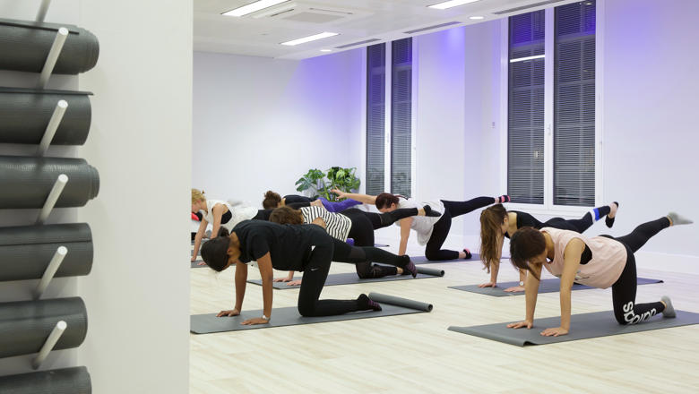 A group of people attending a yoga class