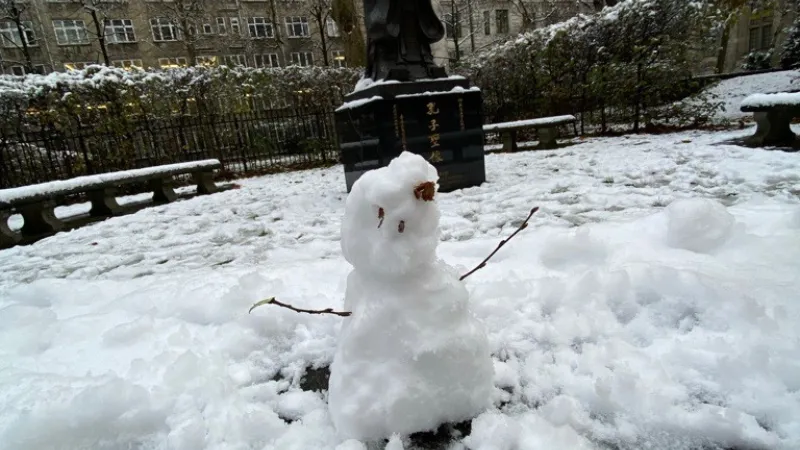 A snow man