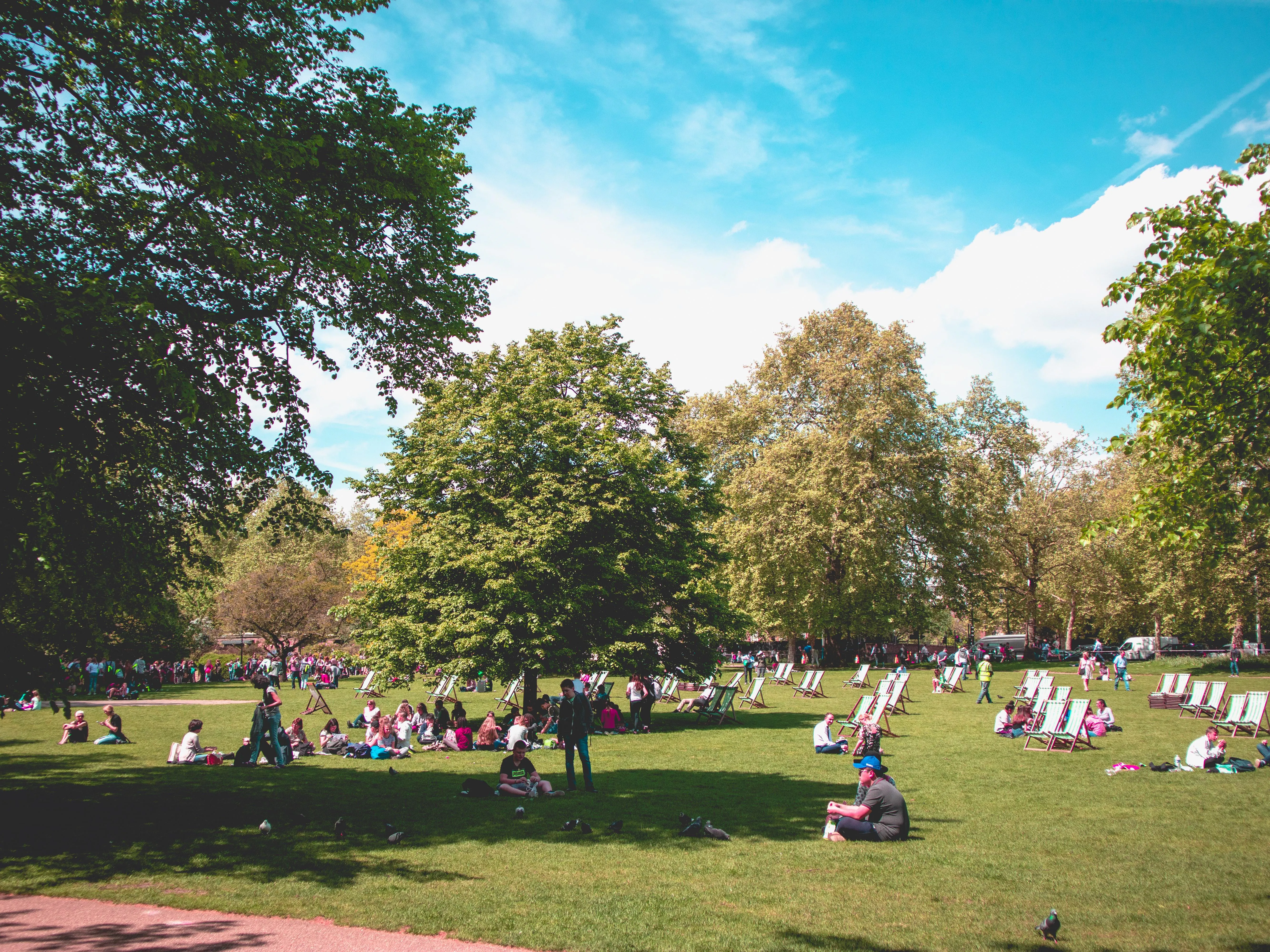 A London park in summer with people sitting on deckchairs