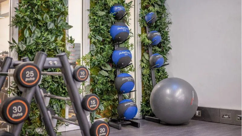 Image of a gym with a rack of weights, medicene balls and a yoga ball.