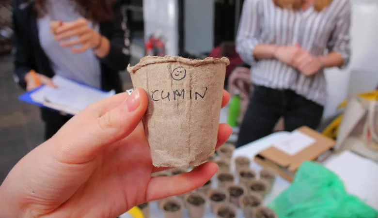 A pot of soil with the word cumin and a smiley face drawn on it