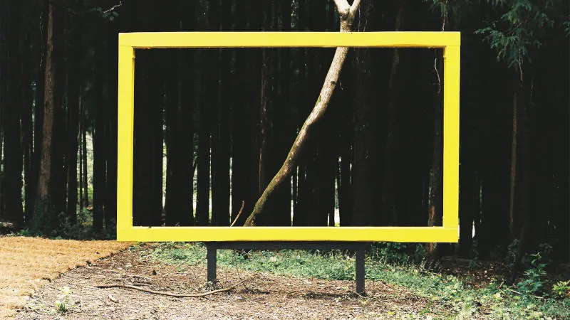 A bright yellow frame stands in front of a deserted forest