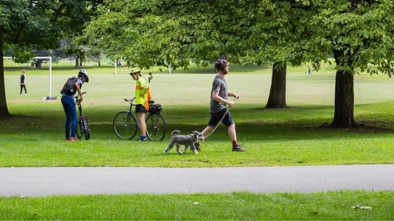 walking-and-cycling-in-park