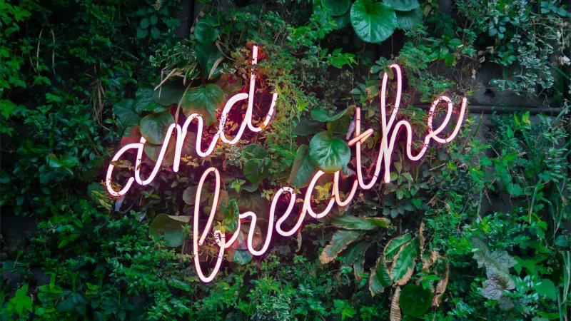 A wall of green leaves surrounds a neon pink sign that reads 