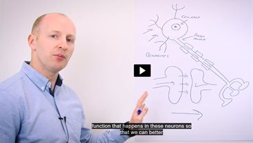 The Action Potential: An Overview - Phil Holland