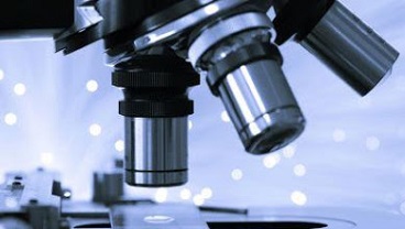 School of Biomedical Engineering & Imaging Sciences