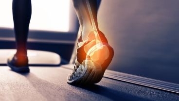 What is Sport & Exercise Medical Sciences?