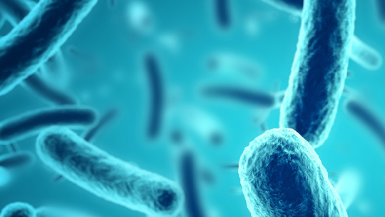 Centre for Host-Microbiome Interactions