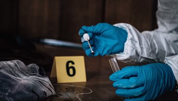 Forensic Traces
