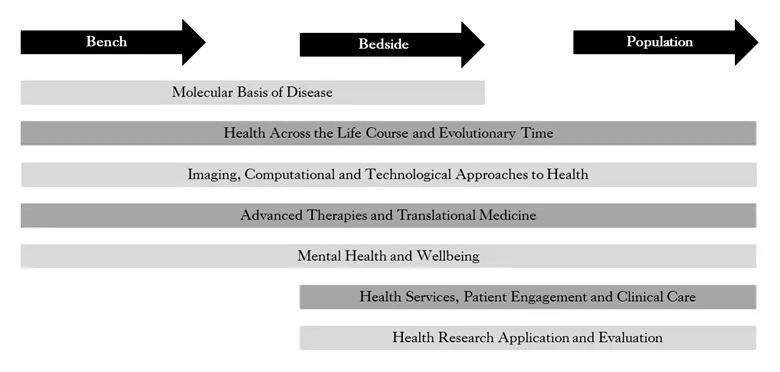  Image version on the text above demonstrating Bench, Bedside and Population. 