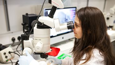 Introduction to Regenerative Dentistry