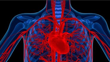 Cardiovascular Medicine iBSc