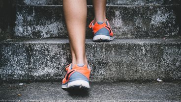 Sport & Exercise Medical Sciences Course Webpage