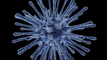 Infectious Disease, Autoimmunity and Immunotherapies iBSc