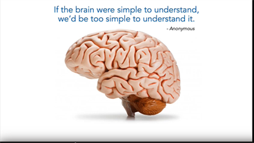 Neuroscience & Psychology BSc taster: How we know what we know about the brain 27 Oct 202