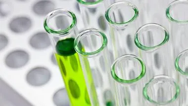 chemistry phd london Biochemistry