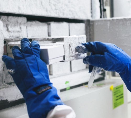 MINI PROMO Drug Discovery photo