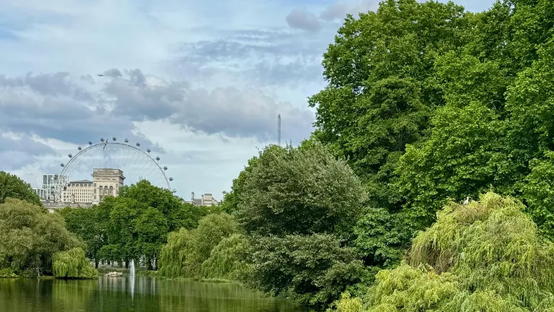 View of London Eye from St James' Park
