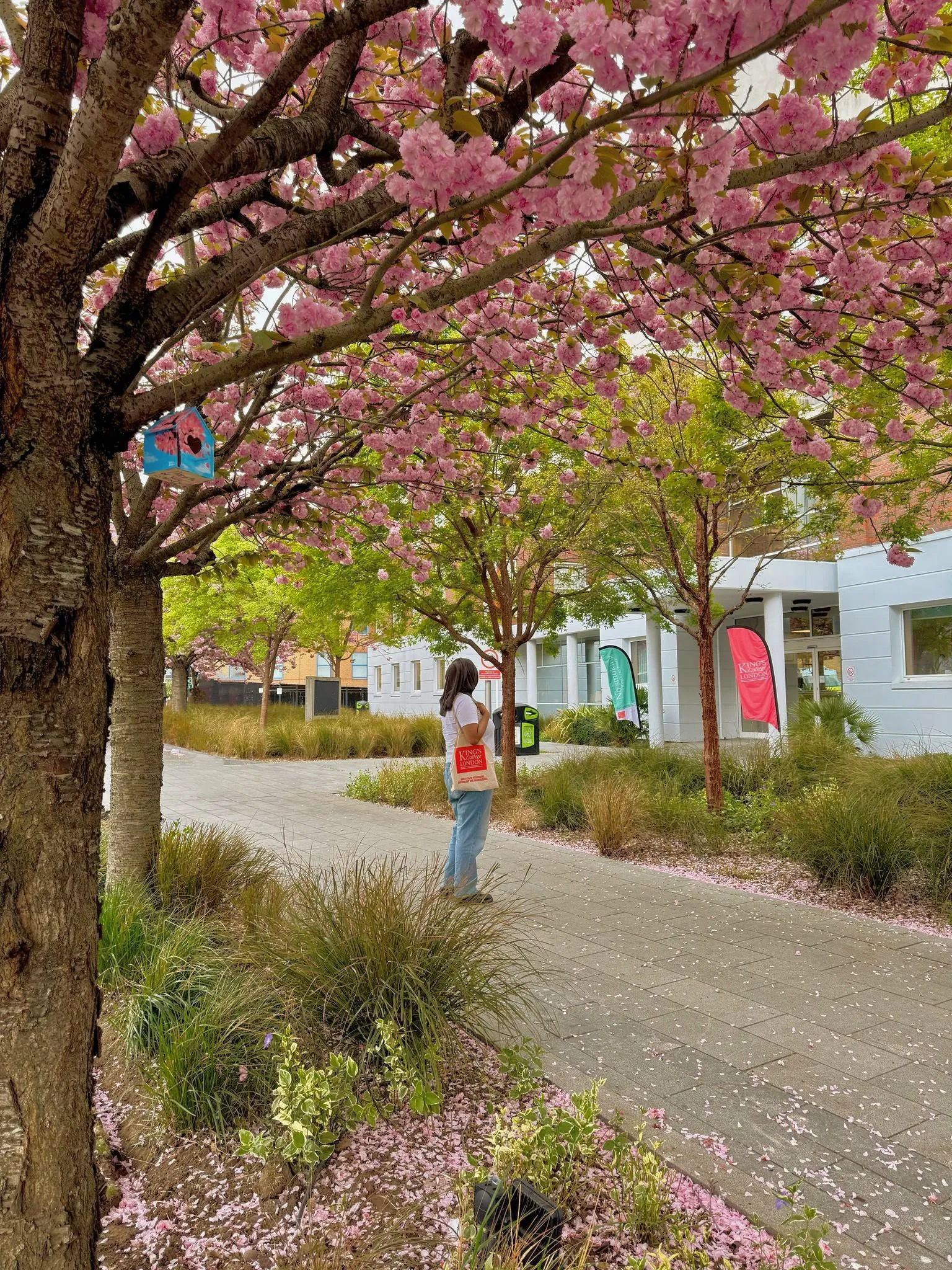 Woman with a King's tote bag standing surrounded by cherry blossoms