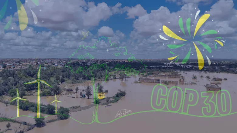 COP flooding adaptation thumb