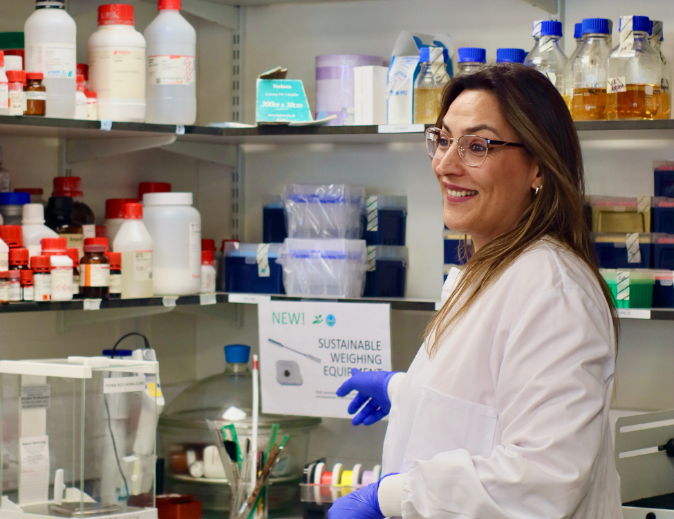 Fernanda lab equipment store