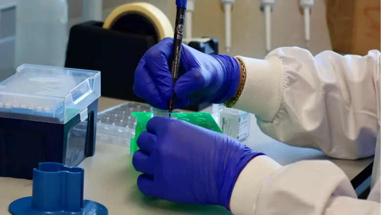 Balancing sustainability with safety in gene therapy research