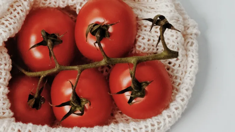 sustainability-food-tomatoes-hero