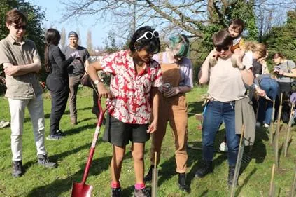 Volunteers about to plant a tree