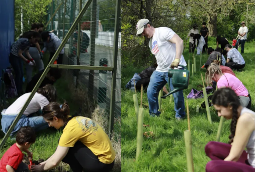 Volunteers planting trees