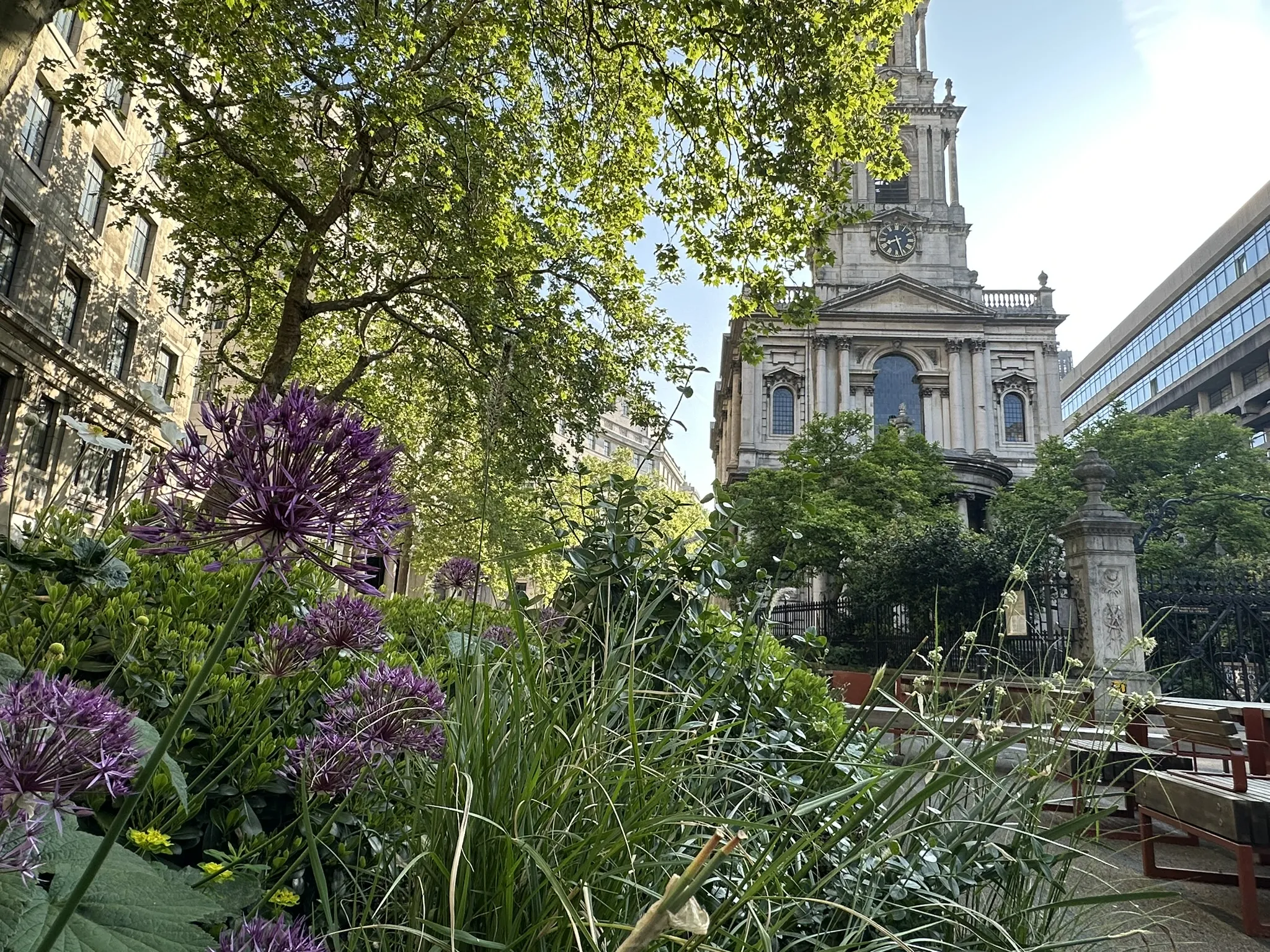 Spring plants against Bush House and St Mary le Strand church