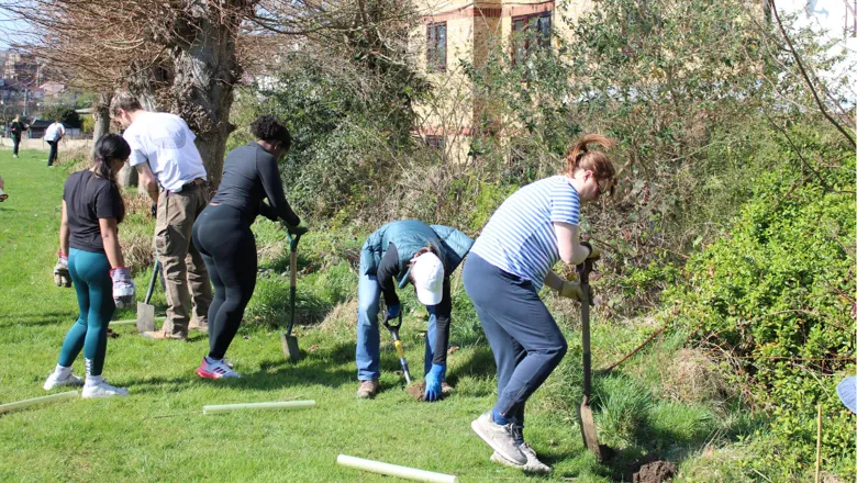 Planting trees, growing communities: How King's gained 2000 trees