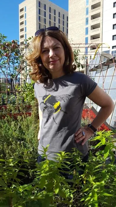 Urban bees