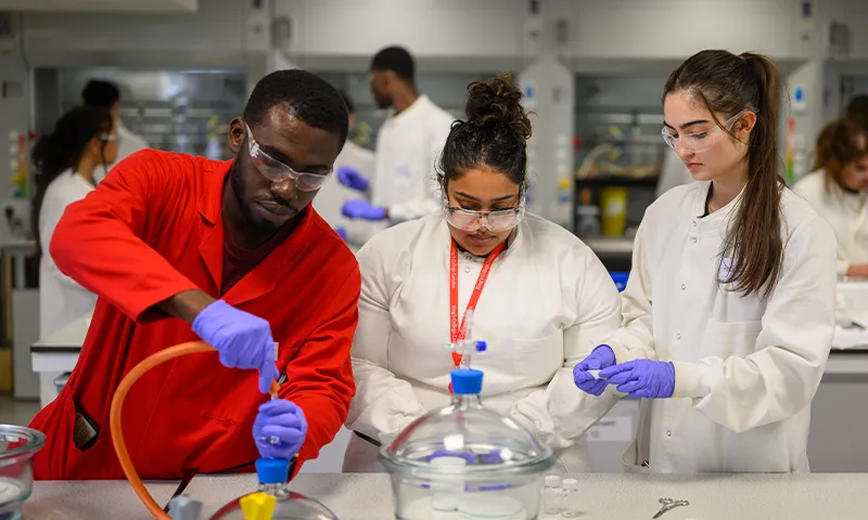 TEF students lab chemistry group