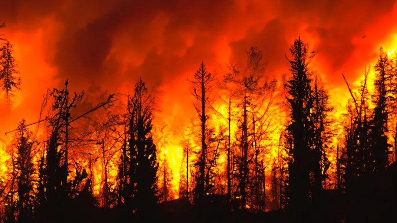 Wildfire. Wildfire in British Columbia. Canada, Fernando Astasio Avila on Shutterstock